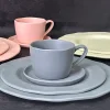 Random Collection Melamine Dinner Set