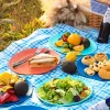 TP Farmhouse Collection Melamine 10.5" Round Plate